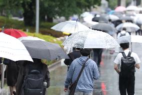 Scenes from the Rainy Season