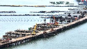 Houhai Cross-sea Special Bridge Construction