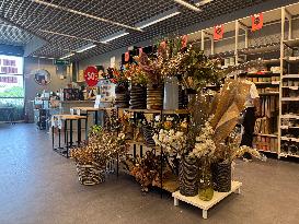 Illustration Of The Furniture Store Chain Casa - Carcassonne