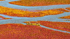 Wuhekou Wetland