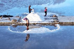 Salt Field