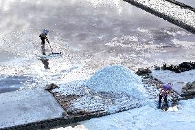Salt Field