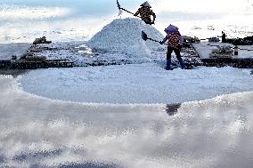 Salt Field