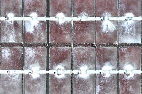 Salt Field