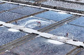 Salt Field