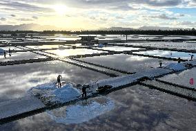 Salt Field