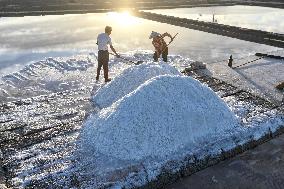 Salt Field