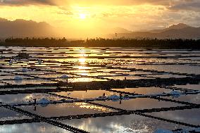 Salt Field