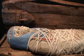 Grand Egyptian Museum - Giza