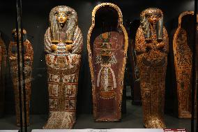 Grand Egyptian Museum - Giza