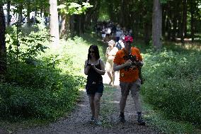 Pokemon Go Fest 2025 Paris - Sceaux