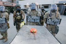 Anti-ICE Protests - LA