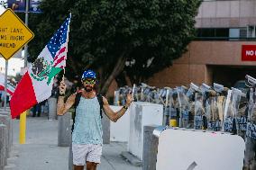 Anti-ICE Protests - LA