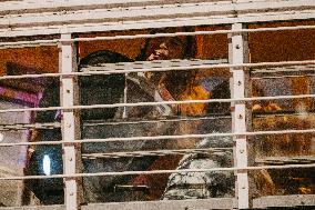 Anti-ICE Protests - LA