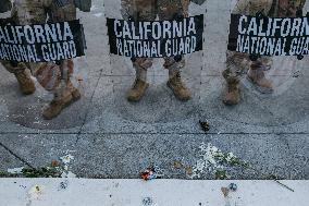 Anti-ICE Protests - LA