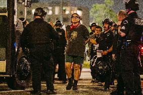 Anti-ICE Protests - LA
