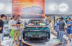 2025 New Energy and Intelligent Vehicle Exhibition in Nanning