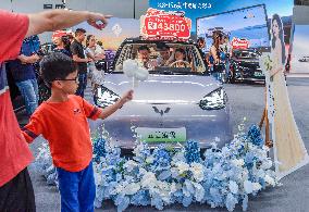 2025 New Energy and Intelligent Vehicle Exhibition in Nanning