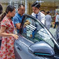 2025 New Energy and Intelligent Vehicle Exhibition in Nanning