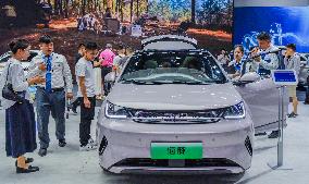 2025 New Energy and Intelligent Vehicle Exhibition in Nanning