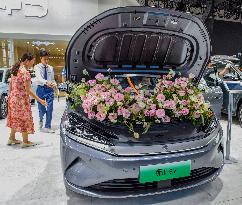 2025 New Energy and Intelligent Vehicle Exhibition in Nanning