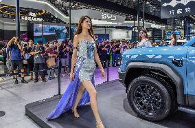 2025 New Energy and Intelligent Vehicle Exhibition in Nanning