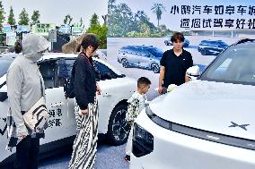 Rural New Energy Vehicles Consumption