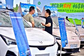 Rural New Energy Vehicles Consumption