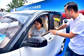 Rural New Energy Vehicles Consumption