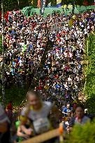 Mikkeli-Jukola 2025