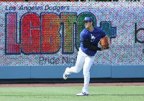 Baseball:Shohei Ohtani