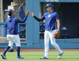 Baseball:Shohei Ohtani