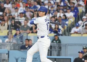 Baseball:Shohei Ohtani