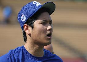 Baseball:Shohei Ohtani