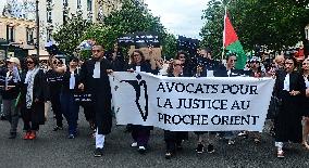 Pro-Palestinian Demonstration - Paris