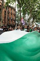 Pro-Palestinian Demonstration - Toulouse