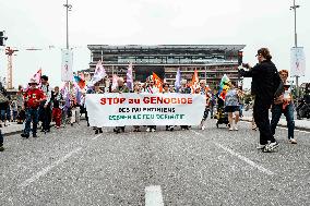 Pro-Palestinian Demonstration - Toulouse