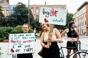 Pro-Palestinian Demonstration - Toulouse