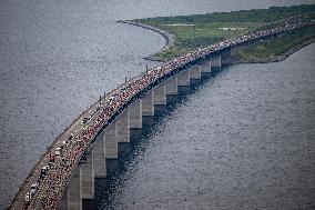 THE BRIDGE RUN