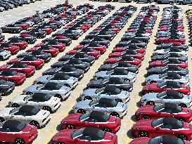 National Scale Industrial Added Value Growth