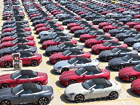 National Scale Industrial Added Value Growth