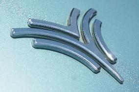 Nezha Auto Bankruptcy