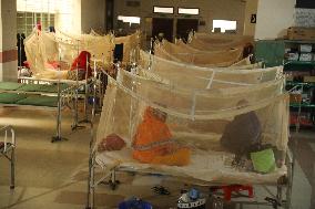 Dengue Cases Rising In Bangladesh - Dhaka