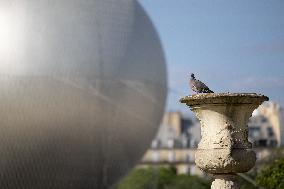 Installation of the Olympic cauldron at the Tuileries - Paris