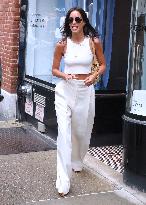 Brad Pitt And Ines De Ramon Out - NYC