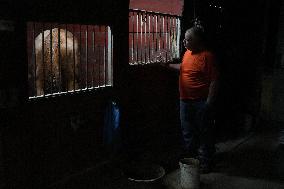 Foaling At Silver Duck Stable - Canada