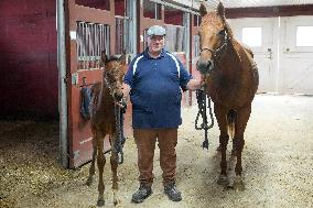 Foaling At Silver Duck Stable - Canada