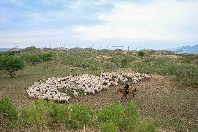 Nomadic Life in Inner Mongolia's Horqin Grassland - China