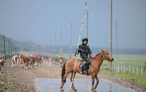 Nomadic Life in Inner Mongolia's Horqin Grassland - China