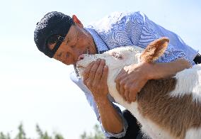 Nomadic Life in Inner Mongolia's Horqin Grassland - China